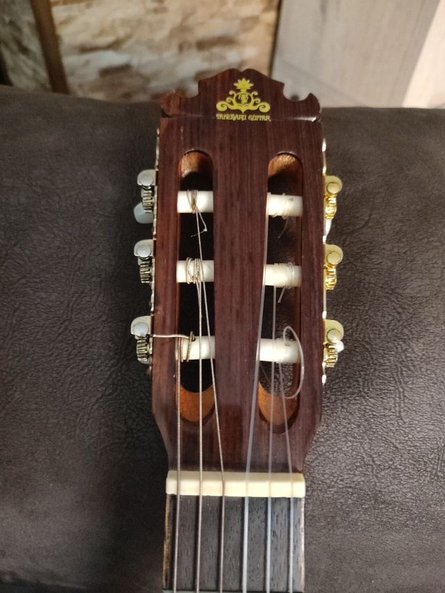 Guitarra Takeharu Gt-300