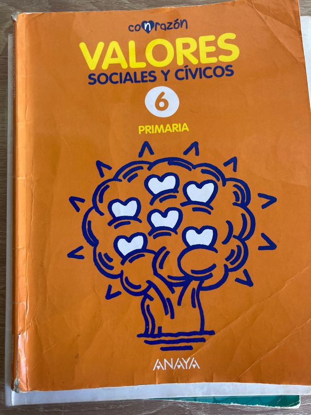 Valores 6 primaria
