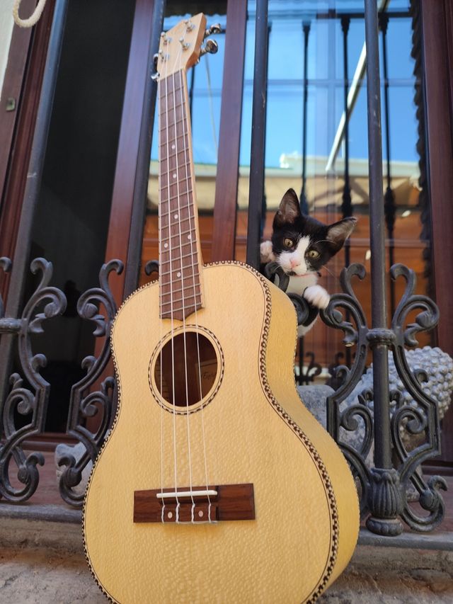 Ukelele tenor 