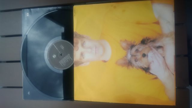 PET SHOP BOYS disco de Vinilo
