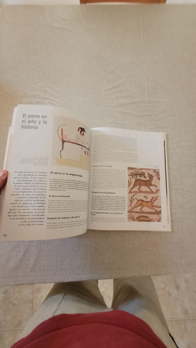 Lote de libros caninos