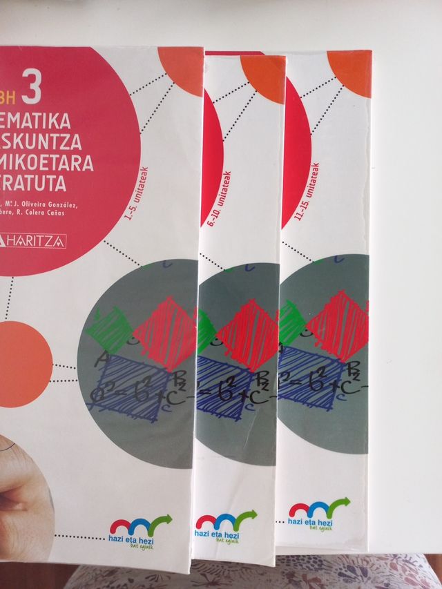 Matematika Irakaskuntza Akademikoetara Bideratuta