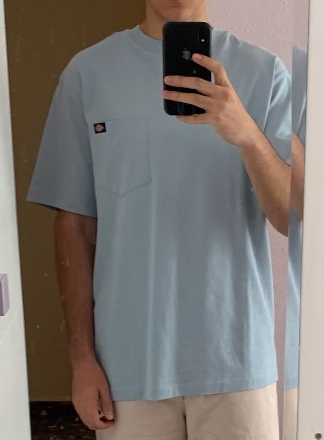 Camiseta Dickies oversize