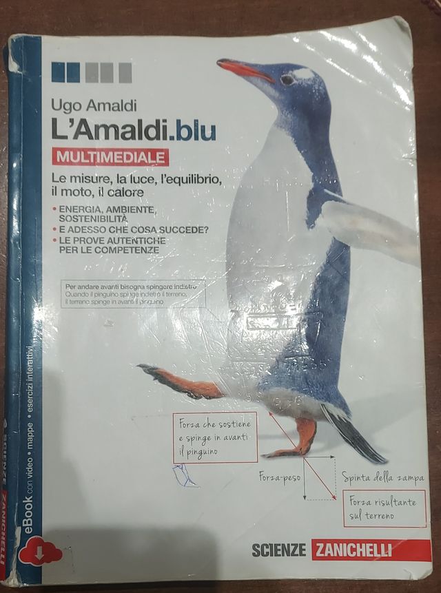 L'Amaldi le misure, la luce, l'equilibrio, il moto