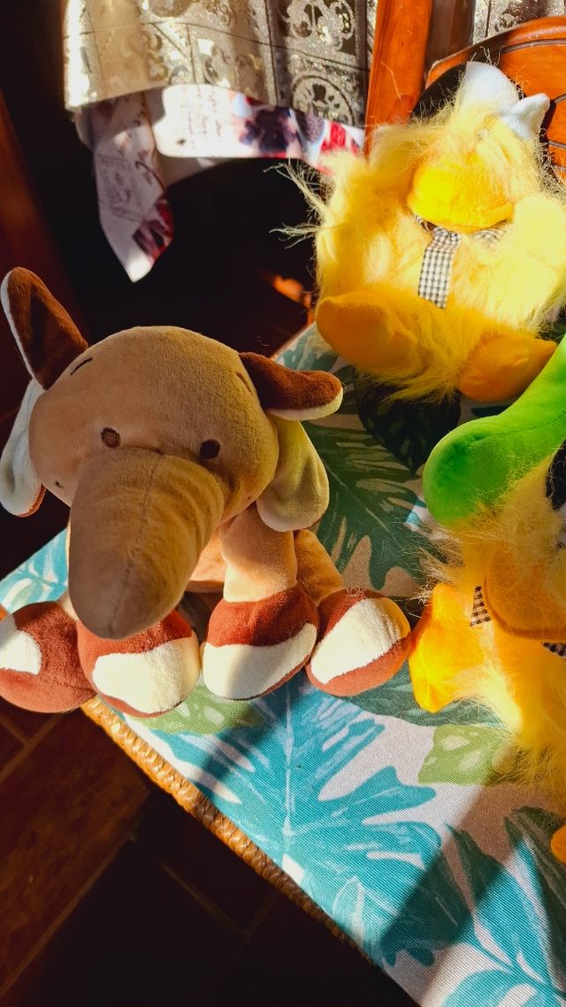 Lote 5 Peluches Variados