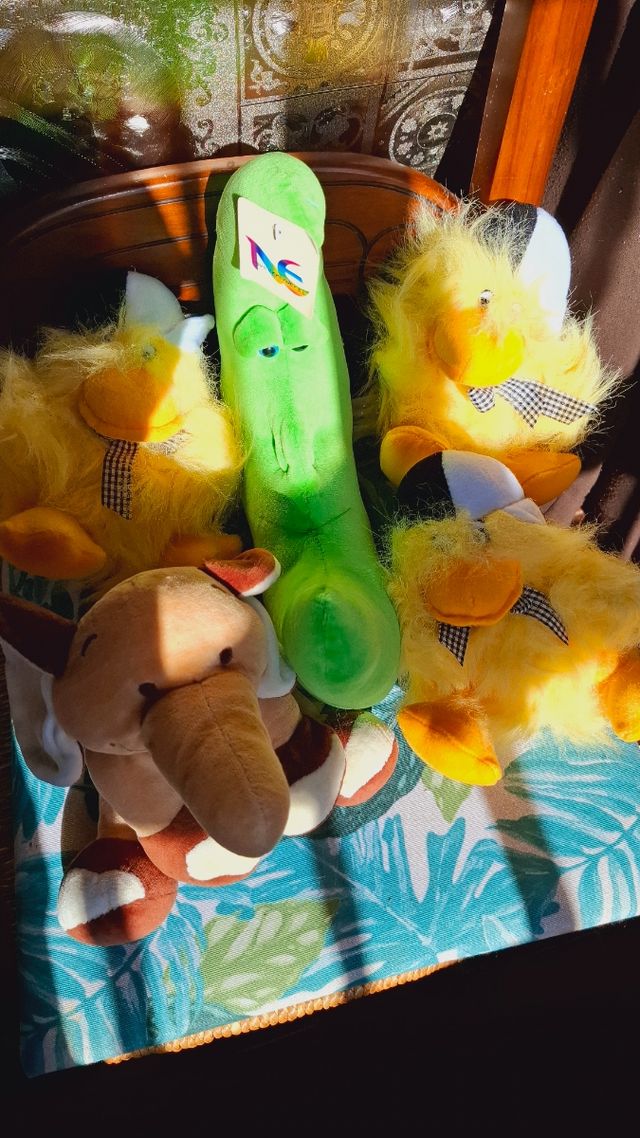 Lote 5 Peluches Variados