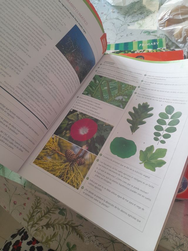 libro biologia y geologia 1 bachillerato edelvives