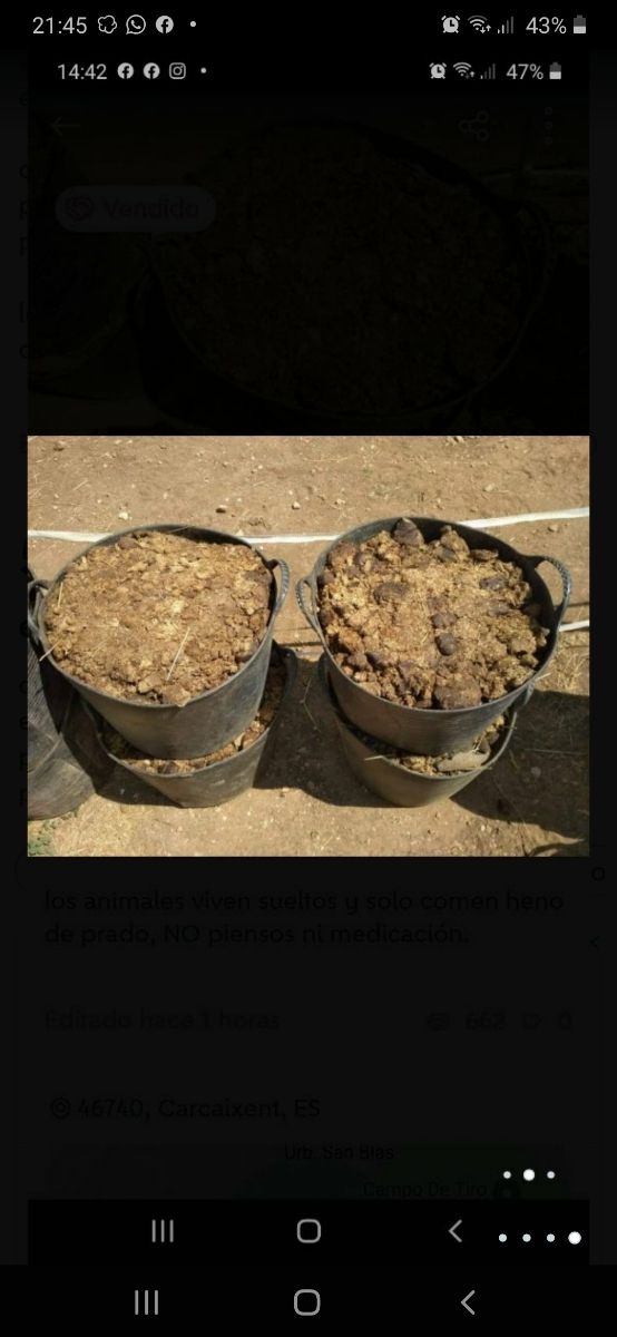 estiércol de caballo