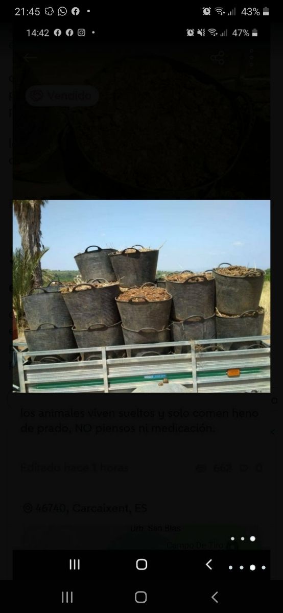 estiércol de caballo