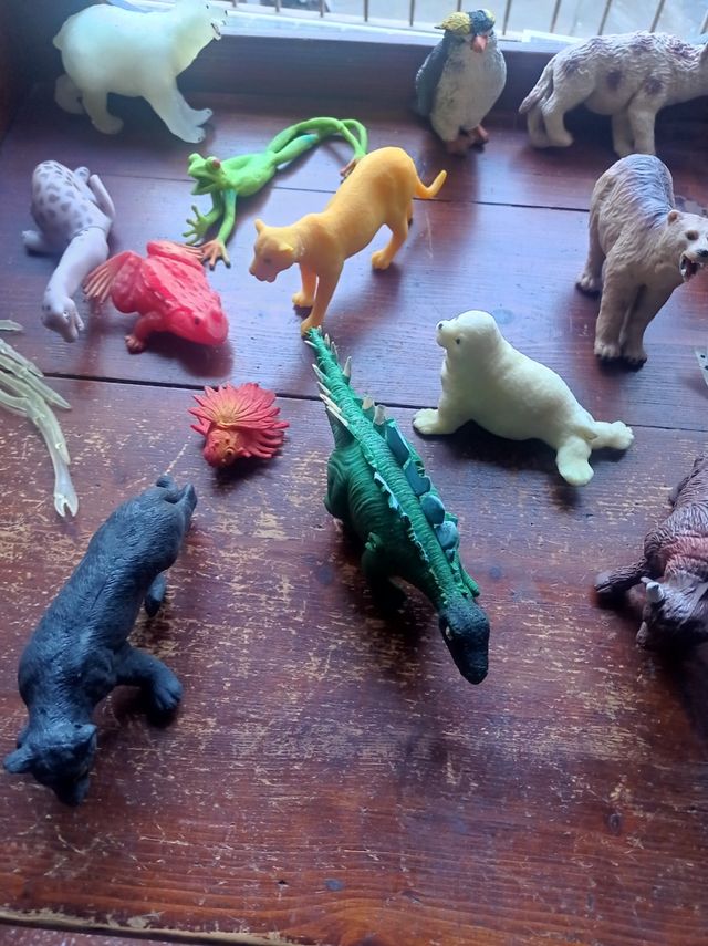 16 animali da terra e acqua Diramix e Sbabam