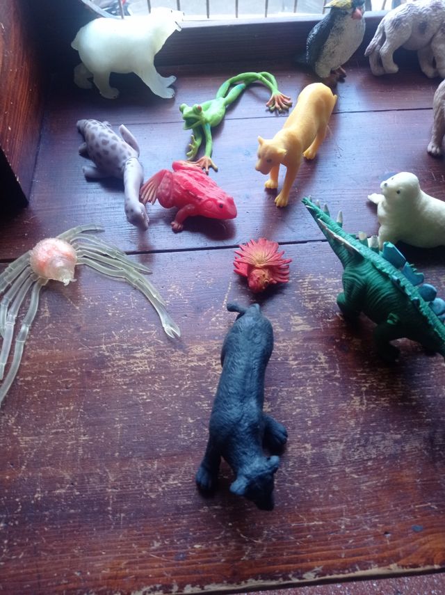 16 animali da terra e acqua Diramix e Sbabam