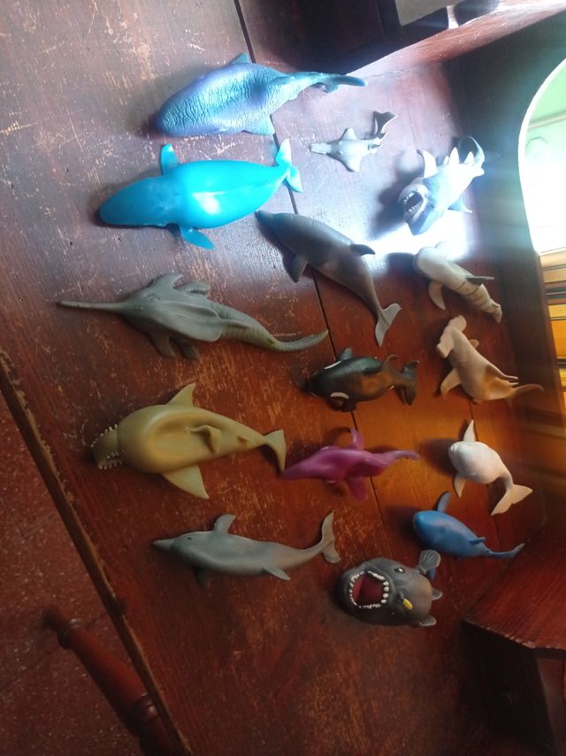 blocco di 15 pesci sbabam