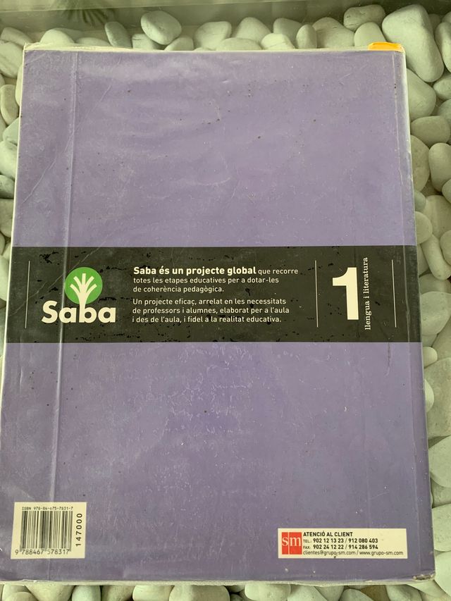 Llengua i literatura SM 1 Bachillerat arrels sava