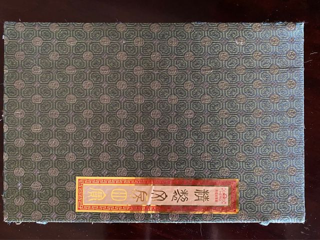 Estuche tinta China 10 pzas.