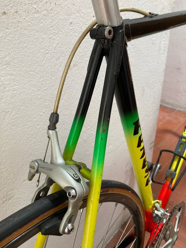 Bici Razesa equipo Trisol 90s