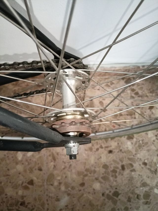 Bicicleta Fixie Pepita (con piñón libre también) 