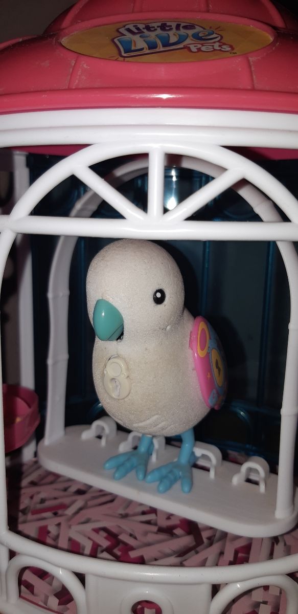 Little Live Pets. Jaula con peliquito