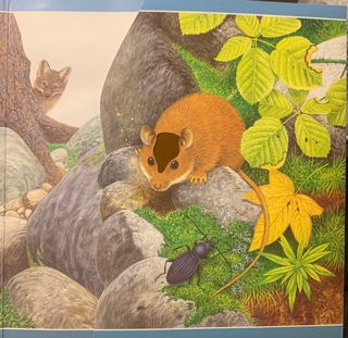 Libros infantiles  