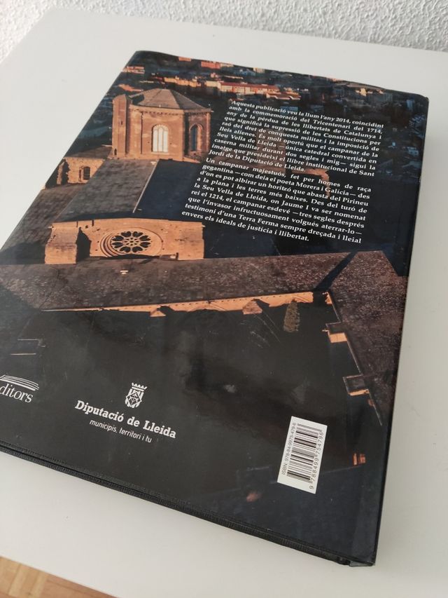 Les torres de Lleida