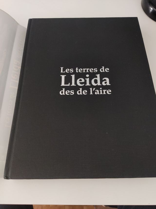 Les torres de Lleida