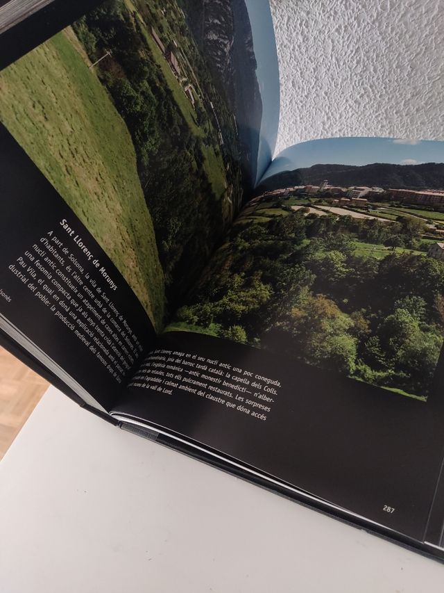 Les torres de Lleida