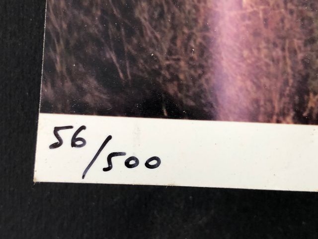 Fotografía firmada y numerada artista MAYTE VIETA