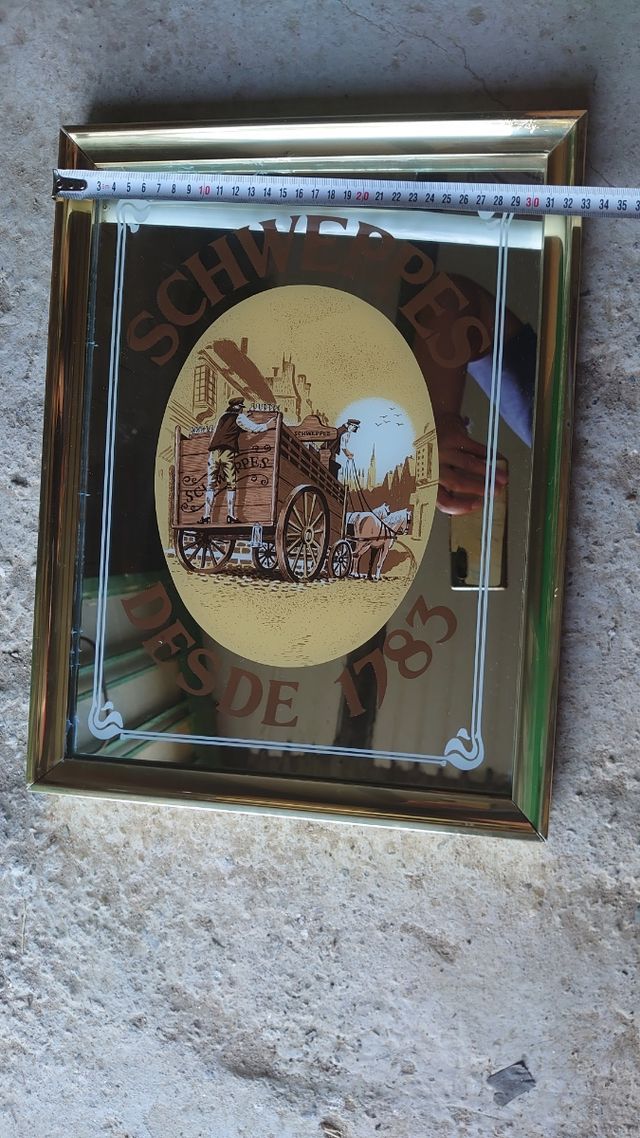 Cuadro Decorativo Schweppes