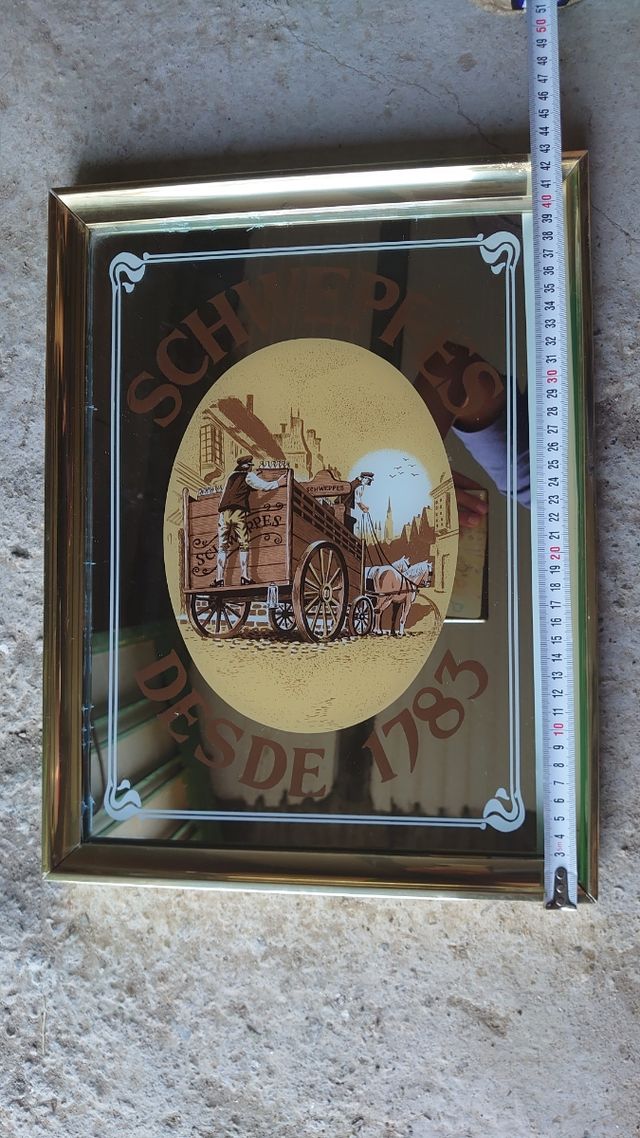 Cuadro Decorativo Schweppes