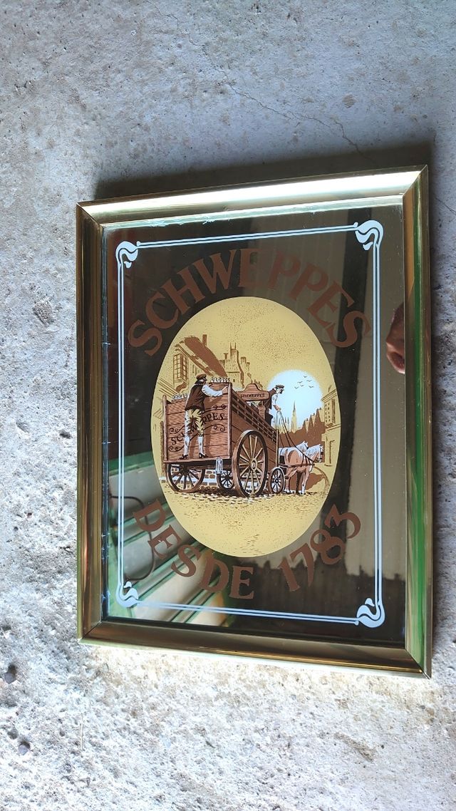 Cuadro Decorativo Schweppes