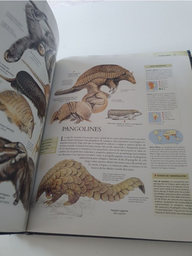 Libro enciclopedia de los animales