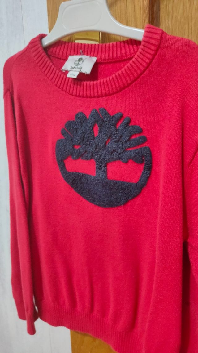 Jersey Thimberland niño 6 años