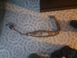 Vendo piezas para am6