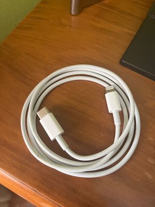 Cable de iPhone oficial