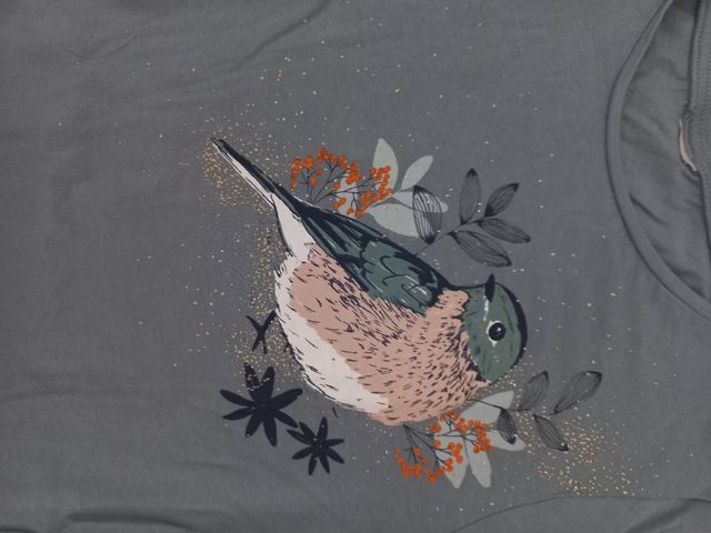 Pantalón y camiseta talla 13/14 zara