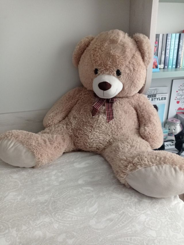 Oso de peluche grande