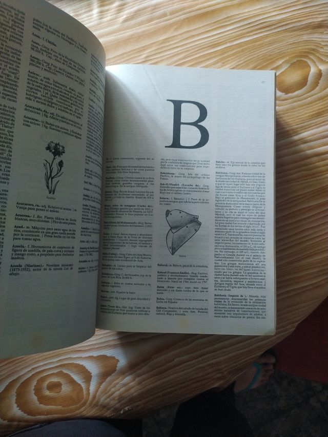 Diccionario Enciclopédico Ilustrado