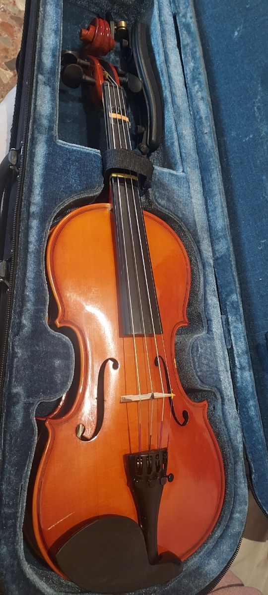 violin 3/4 principiante