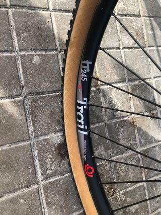 Cannondale F29"