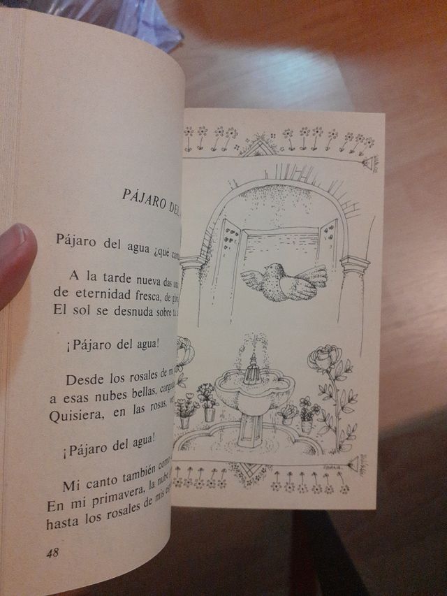 Canta pájaro lejano