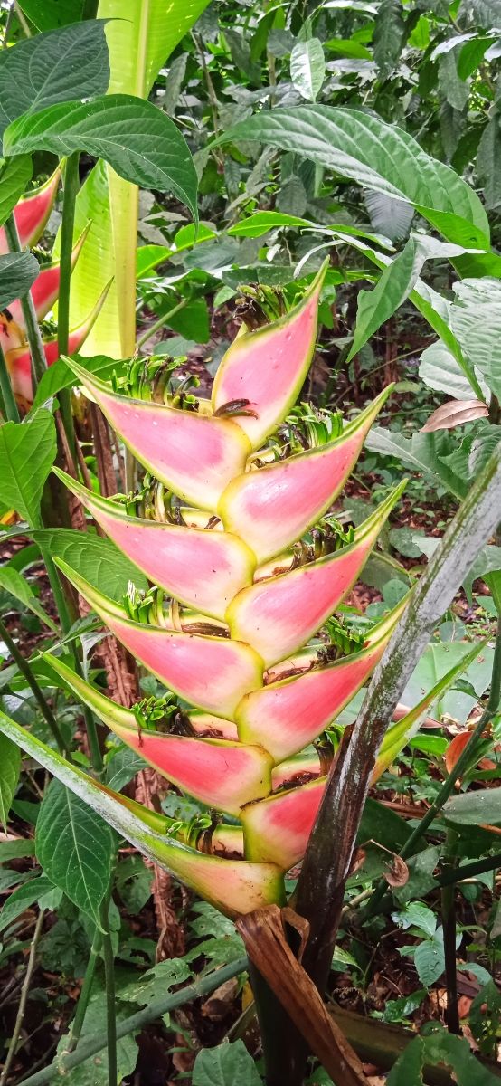 garaje de. caravanas