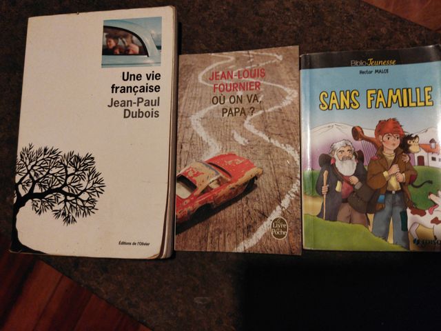 6 Libros de lectura Frances