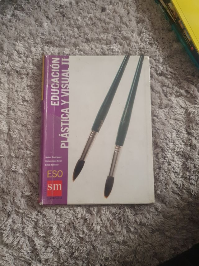 Educación plastica y visual II