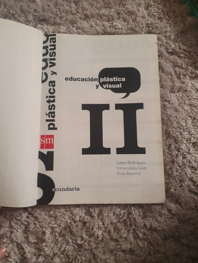 Educación plastica y visual II