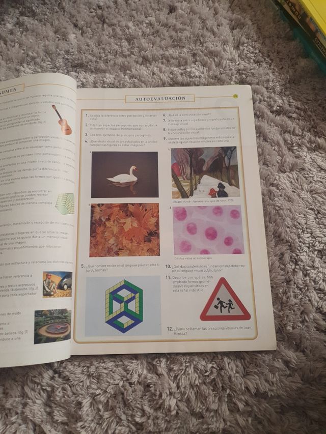 Educación plastica y visual II