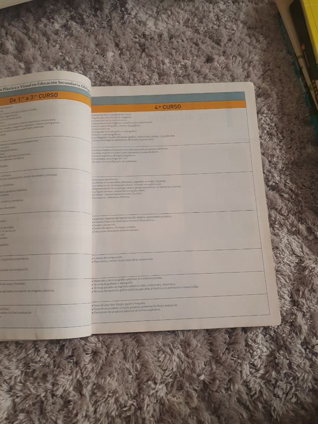 Educación plastica y visual II