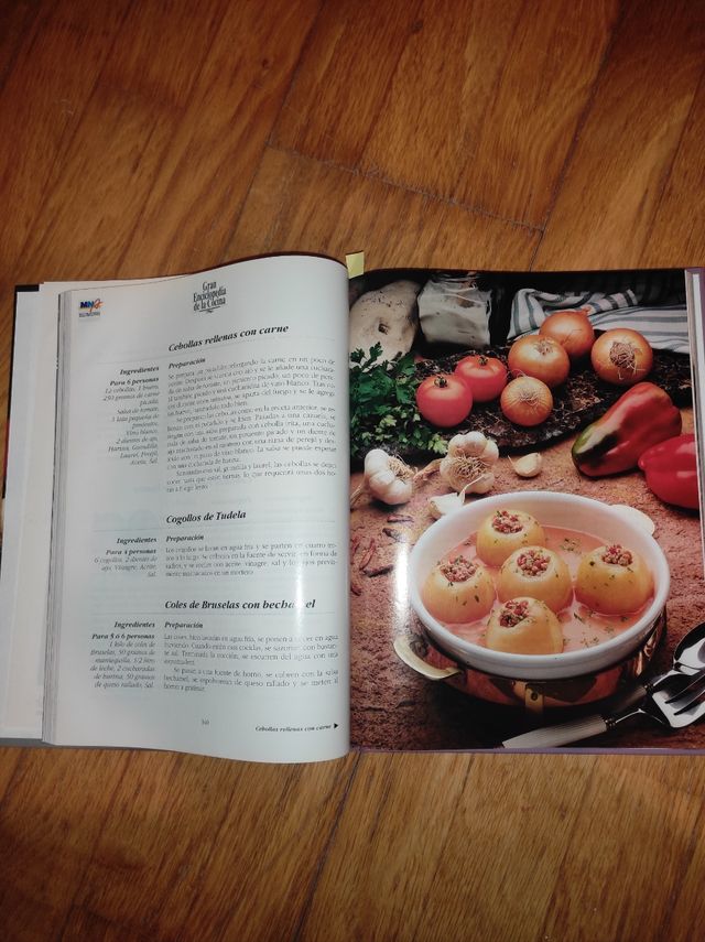 gran enciclopedia de la cocina 