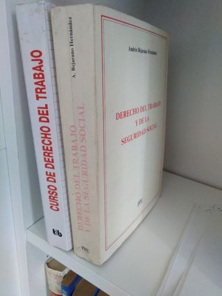 Lote libros derecho del trabajo y seguridad social