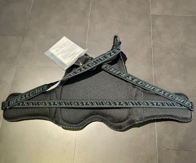 Protector Dainese Thor Pro M2