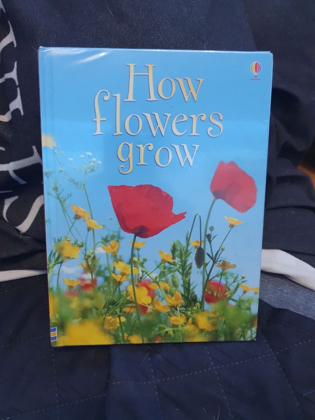 how flowers grow