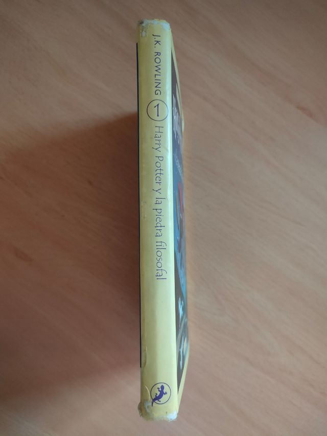 Libro Harry Potter